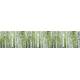 Фартук с фотопечатью Березы FM23