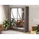 Шкаф купе ШК 207 с зеркалом