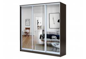 Шкаф-купе Хит 22-4-18/2-555