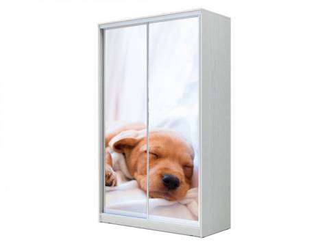 Шкаф-купе Хит 23-14-77 фото 24