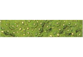 Фартук с фотопечатью Киви SP016